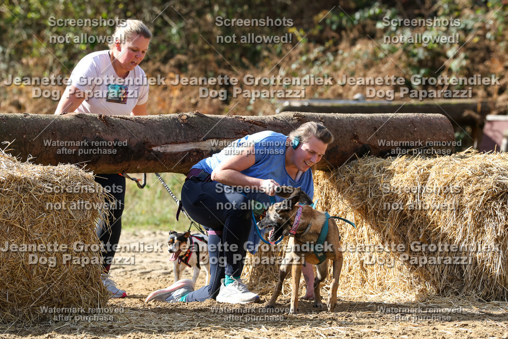 Dog Paparazzi - Strongdog 10-25-5462 | Dog Paparazzi Jeanette Grottendiek Fotografie & Videografie - Realisiert mit Pictrs.com