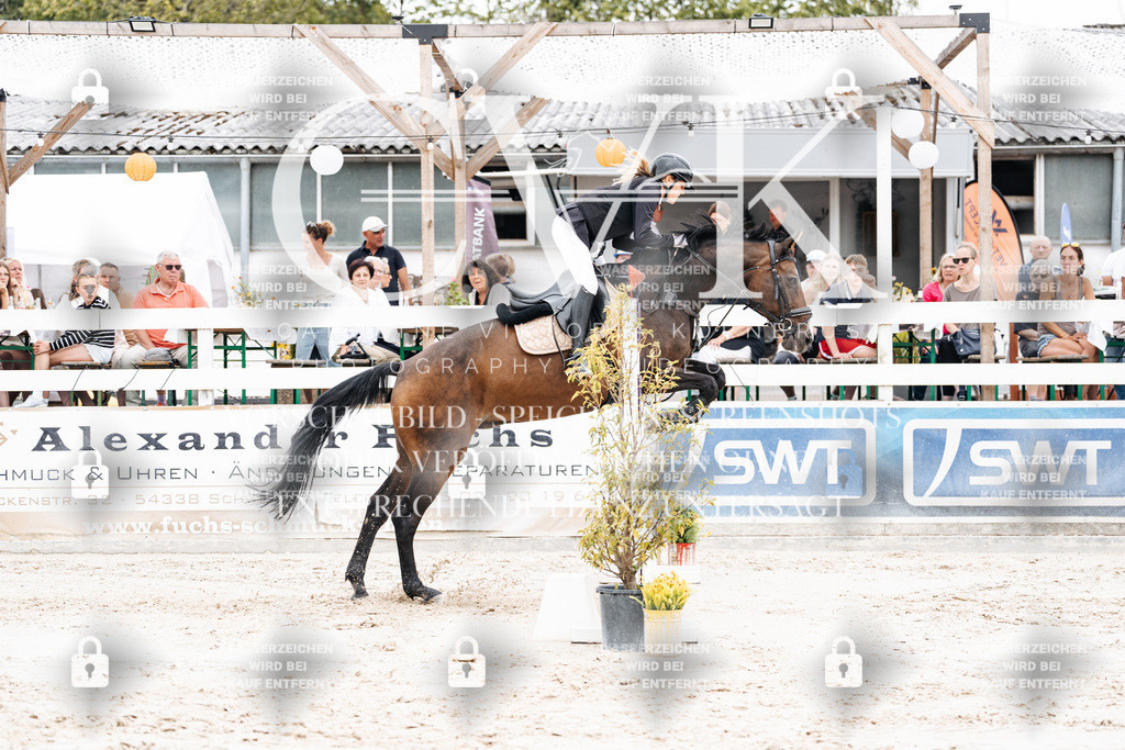 CK906429 | Turnierfotografie Pferdefotografie Trier Rheinland-Pfalz Pferdesport Reitsport Tierfotografie Sportfotografie Pferdevideo Pferdevideografie Equestrianvideography equestrianphotography  - Realisiert mit Pictrs.com
