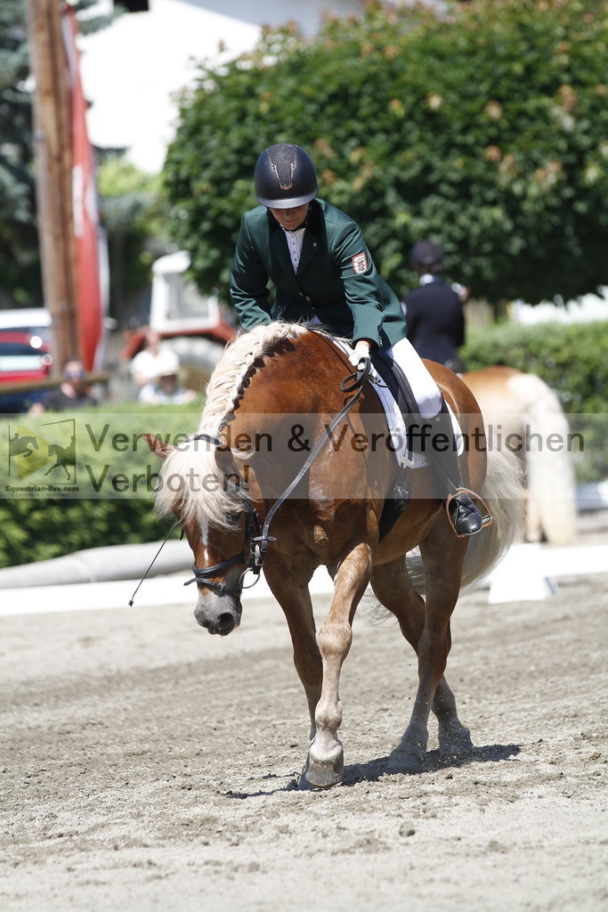 _MG_3950 | equestrian-live-com