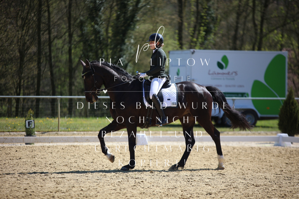 IMGT7773 | pl-fotografie