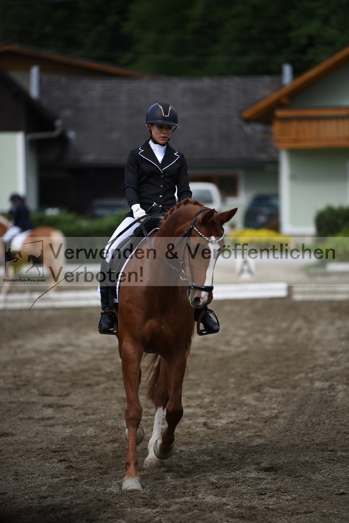 DSC_5104 | equestrian-live-com