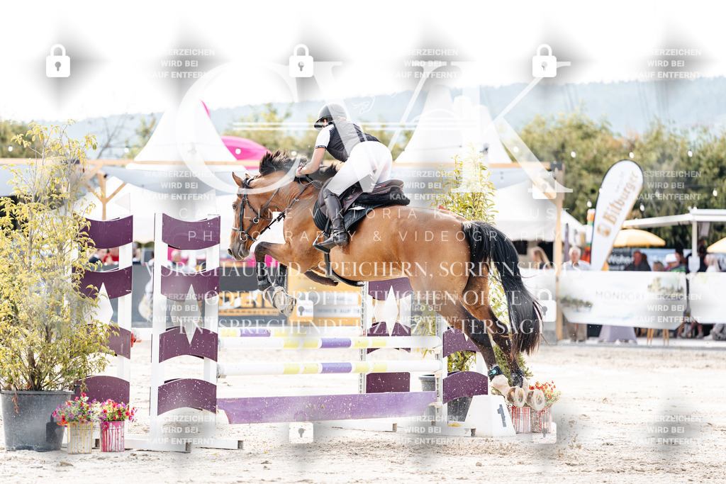 CK906823 | Turnierfotografie Pferdefotografie Trier Rheinland-Pfalz Pferdesport Reitsport Tierfotografie Sportfotografie Pferdevideo Pferdevideografie Equestrianvideography equestrianphotography  - Realisiert mit Pictrs.com