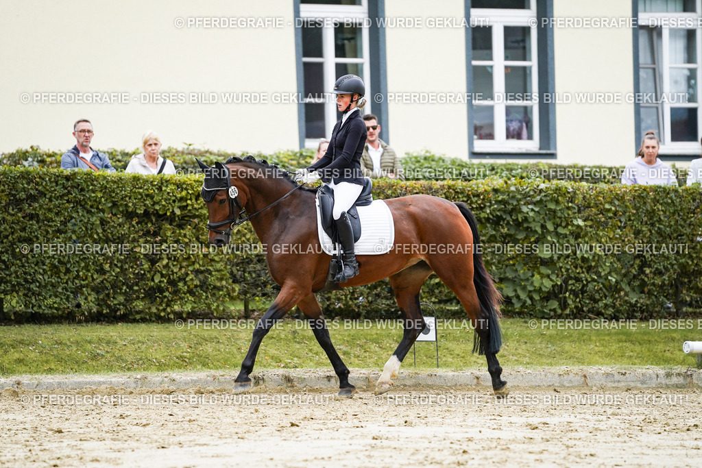 DSC06276 | Pferdegrafie