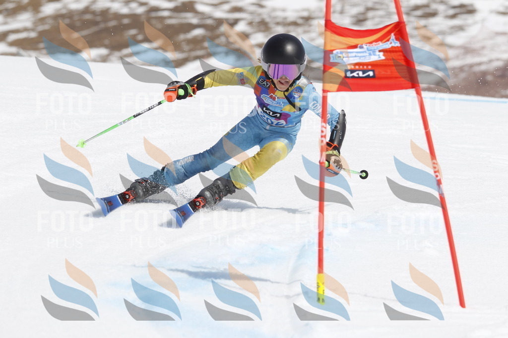 _U3G2082 | holidayphoto