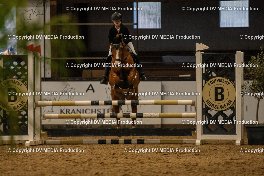 Kranichstein Tag 1-301 | dv-media-shop - Realisiert mit Pictrs.com