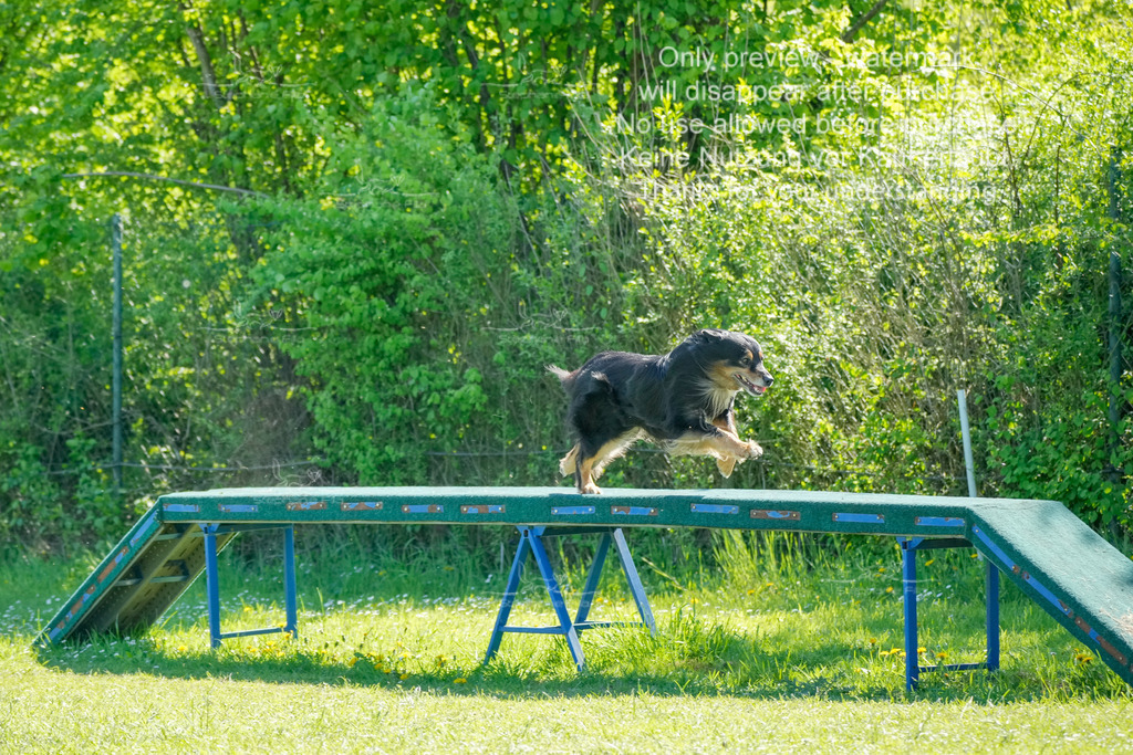 Sa_VK3_03-8 | stephaniefillaphotographie - Realisiert mit Pictrs.com