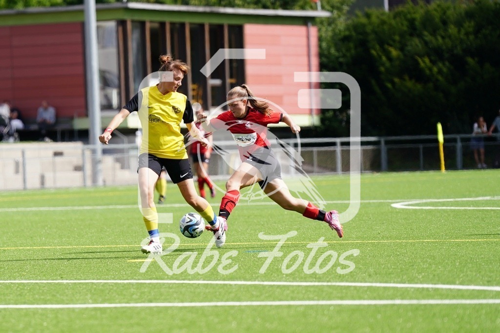 SON08709 | rabefotos