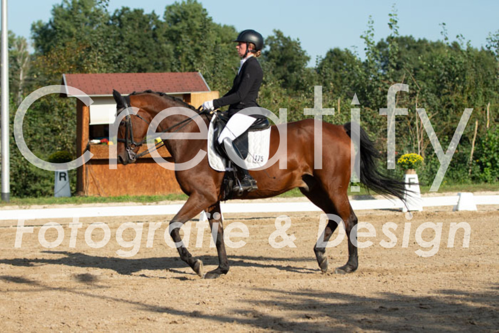 IMG_0967 | Creatify Fotografie