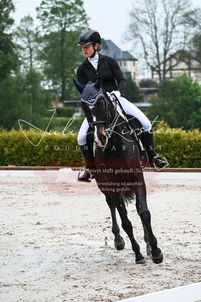 DSC_4518 | Pferde- und Turnierfotografie in Westsachsen. Pferdeportraits, Auftragszeichnungen und intuitive Kunst.