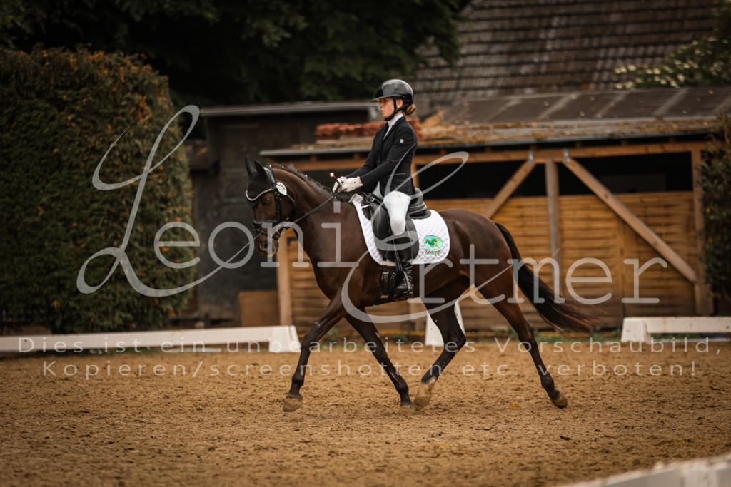 DoDrA200347 | Leoni Ertmer Photography - Realisiert mit Pictrs.com