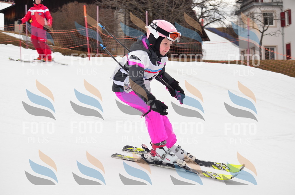 B9516 | holidayphoto