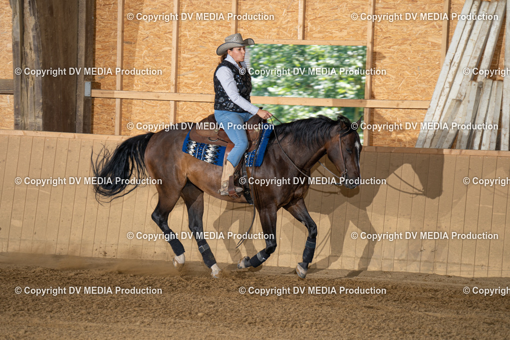 DSC00161 | dv-media-shop - Realisiert mit Pictrs.com