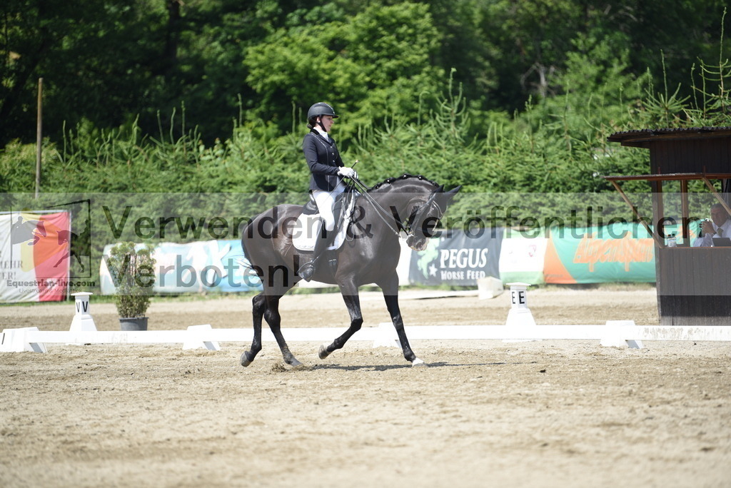 DSC_9021 | equestrian-live-com