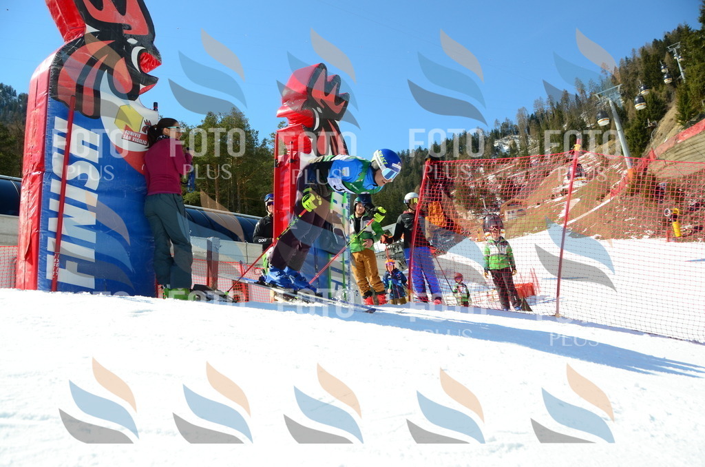 C7001 | holidayphoto