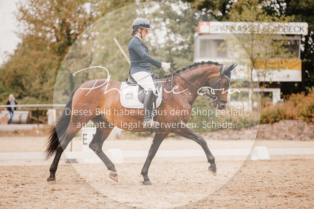 3I6A5938 | Stimmungsvolle Portraits und Reitsportfotografie im Ruhrgebiet und im Münsterland.

Pferdefotografie, Hundefotografie, Tierfotografie, Reportagen, Portraits von Tier und Mensch, Turnierfotografie in Bochum, Recklinghausen, Marl, Haltern am See, Dülmen.. - Realisiert mit Pictrs.com