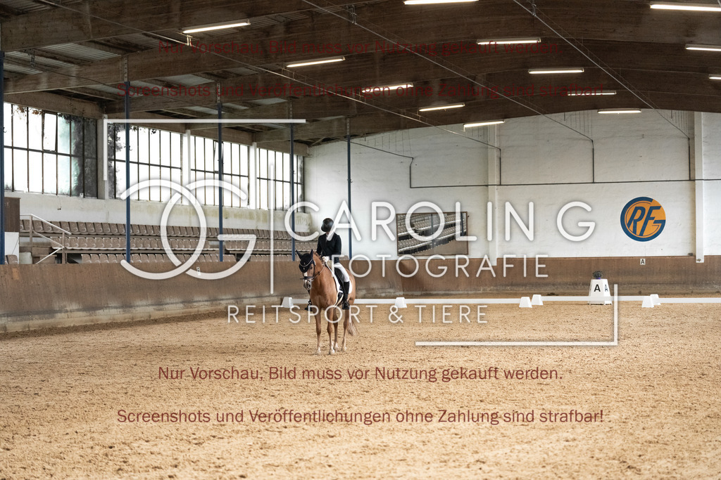 DSC01545 | Reitturnier_Göppingen_April_2026, jana_marie_sauter, Dingo_246