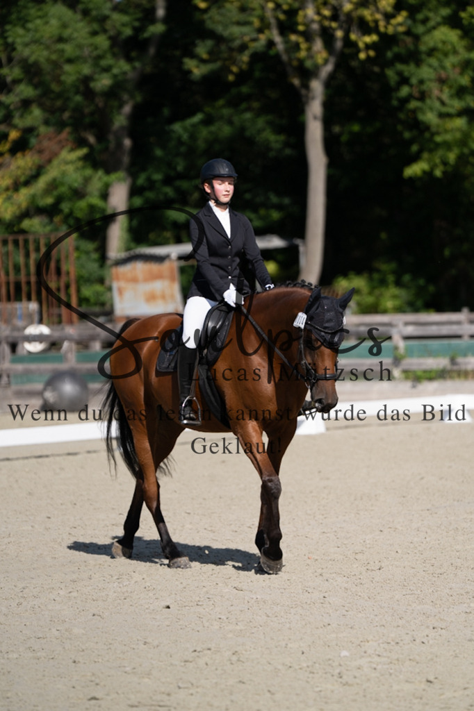 A7V06962 | Pferdefotograf