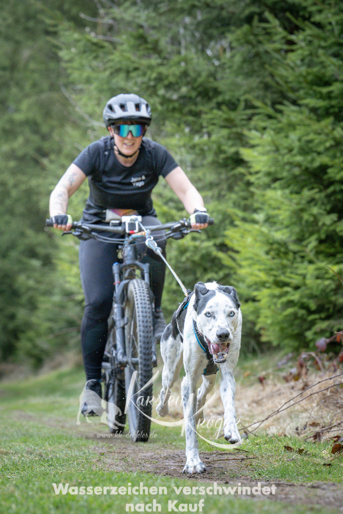 1311_ZZ93948 | kk-dogfotos