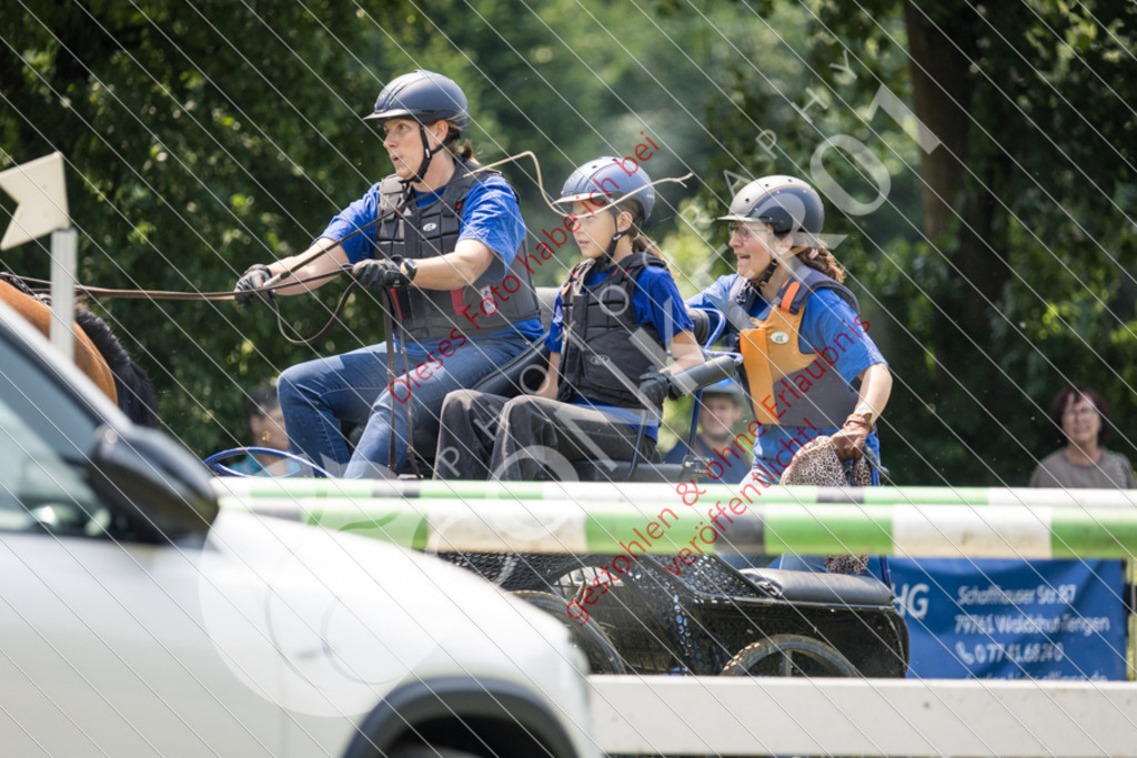 IMG_8695 | Sport-, Event- und Tierfotos in Profiqualität. Einfach auswählen, bestellen und herunterladen. Dein Moment – perfekt festgehalten.