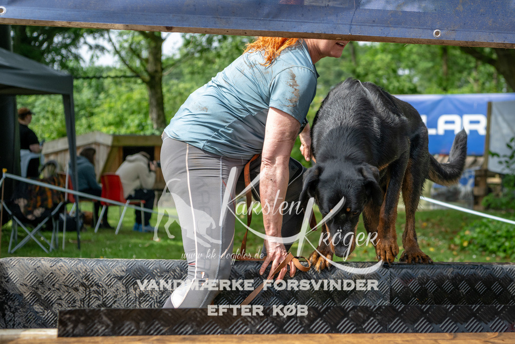 1031_ZZ91099 | kk-dogfotos