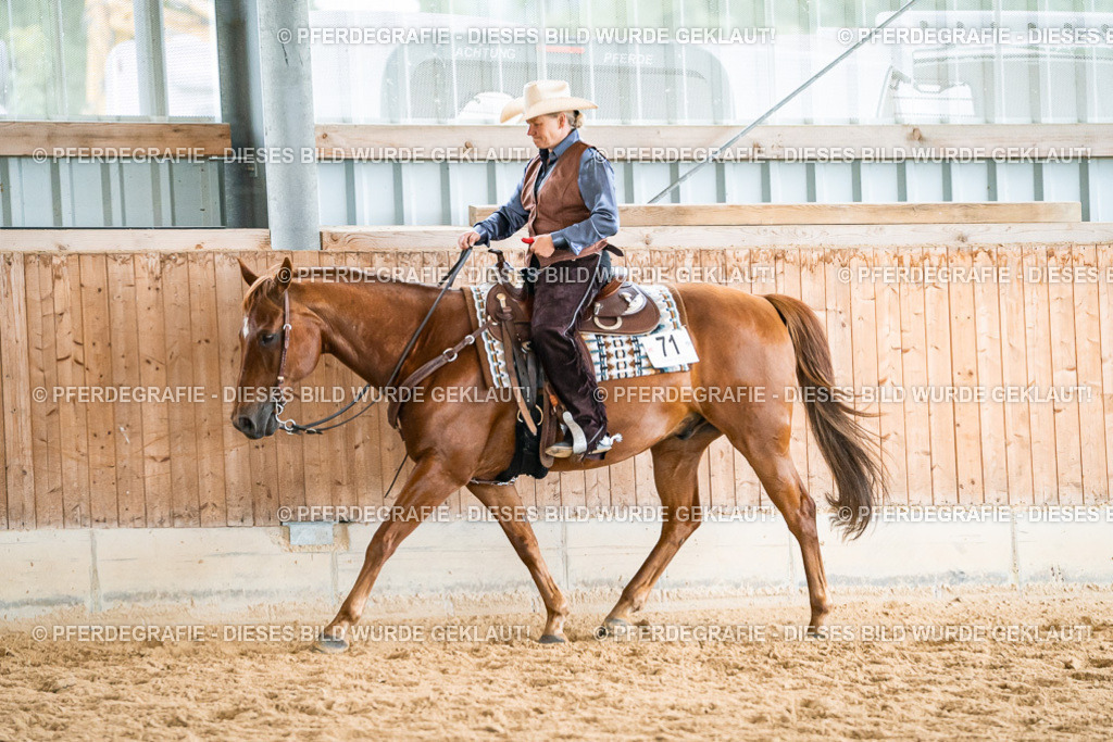 DSC00618 | Pferdegrafie