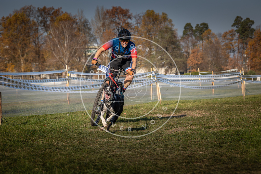 CaniXpix_0L8A6180 | Hundefotografie, Tierfotograf, Pfotenfotografie, Fotoshooting Hund, Hunde Portrait, Hundesport, Hundeportraits, Heideshooting, Hunde, Sportfotograf, Hundefotograf, Turnierhundsport, THS,  - Realisiert mit Pictrs.com
