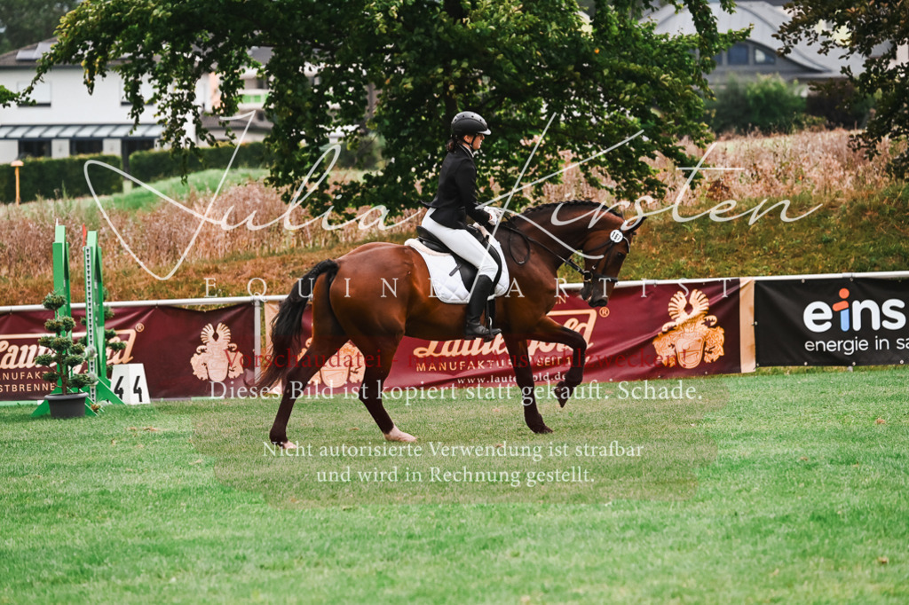 DSC_5974 | Pferde- und Turnierfotografie in Westsachsen. Pferdeportraits, Auftragszeichnungen und intuitive Kunst.