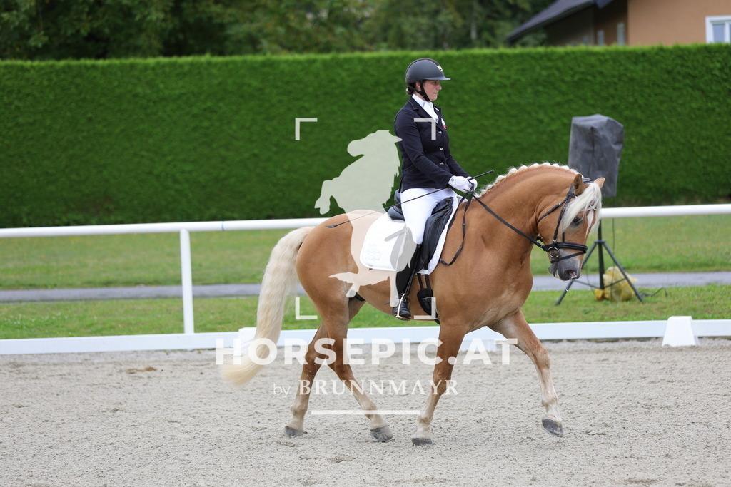 0P6A7758 | Willkommen bei Brunnmayr - Design & Fotografie – Ihrem Spezialisten für Reitturniere und Pferdeveranstaltungen in Oberösterreich, Salzburg und Bayern! Seit über 17 Jahren sind wir leidenschaftlich dabei.