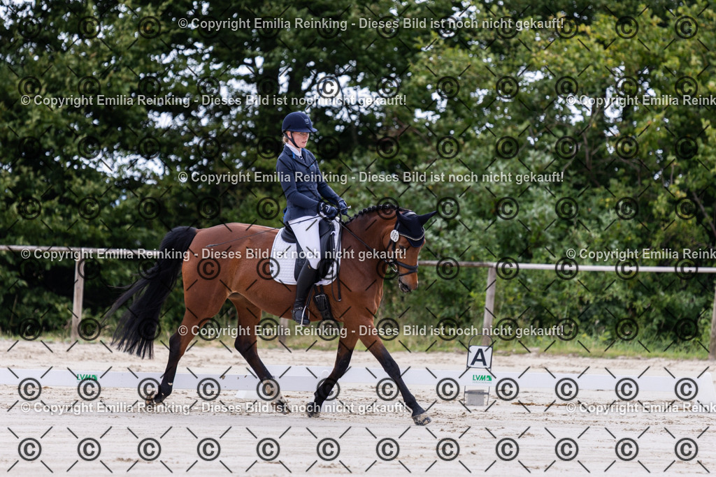 CL5A1755 | Emilia Reinking Fotografie - Realisiert mit Pictrs.com