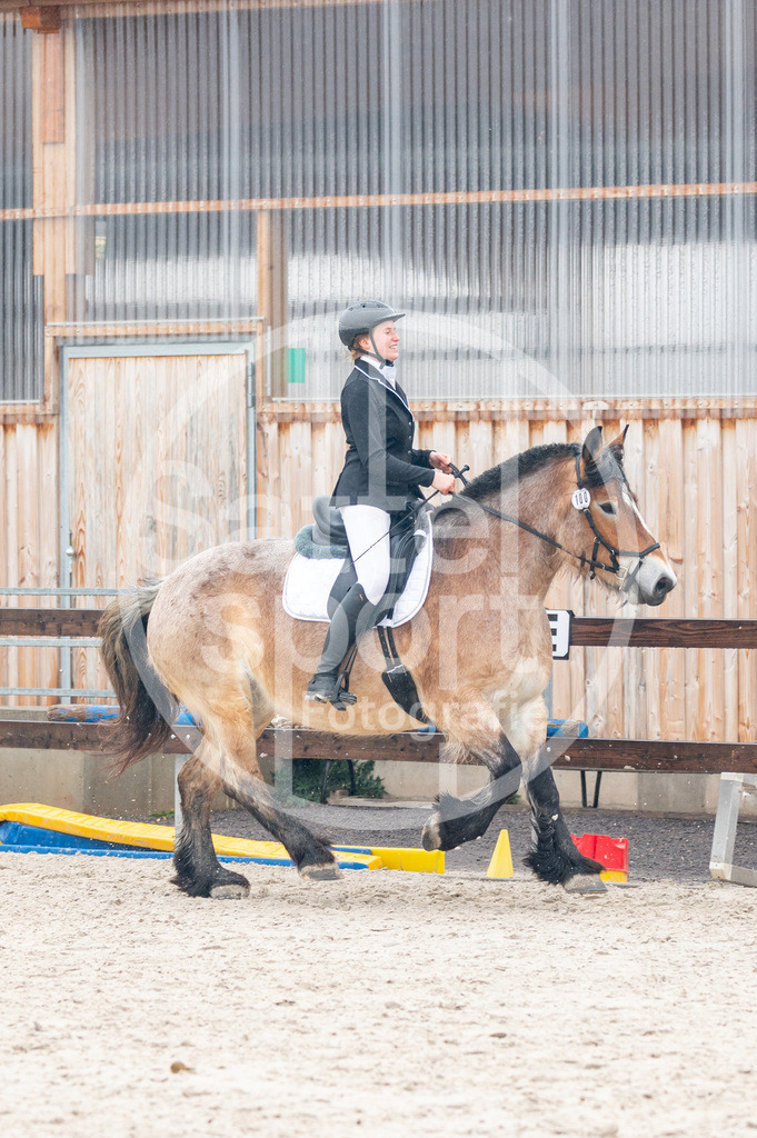 DSC_5874 | sattelsport - Realisiert mit Pictrs.com