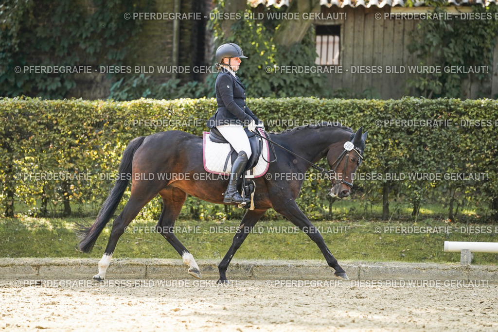 DSC07140 | Pferdegrafie