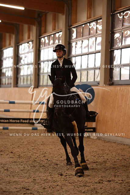 1J2A9002Mira Leinert_ Ilari R_ Kn291_ Glantz_ Hohen Wieschendorf | Foto- und Videografie für alles rund ums Pferd. Hochwertige Bilder und Videos vom Spring- und Dressurreiten, Voltigieren & mehr. Jetzt aktuelle Veranstaltungen und Preise im Shop ansehen. - Realisiert mit Pictrs.com