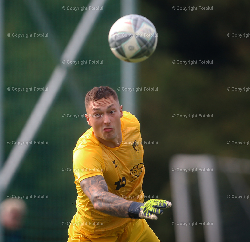 A_LUI_170824_15 | bilder, linz, photo, foto, fussball, sport, fotolui, bundesliga