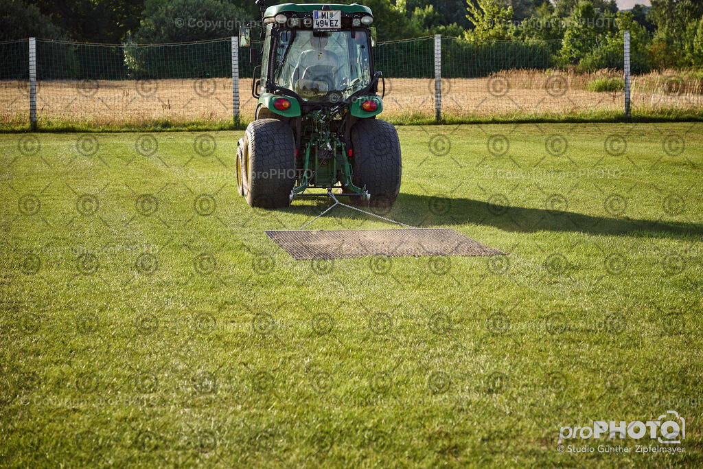 202507_Rernböck-Rasen_NZ9_1339 | proPHOTO - Realisiert mit Pictrs.com