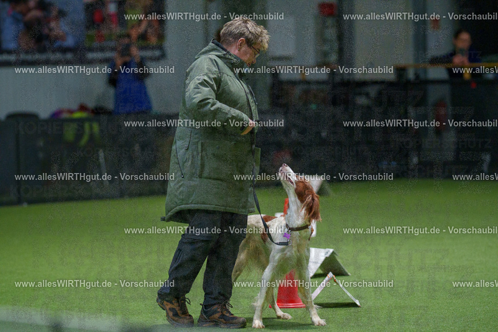 7R504856 | Professionelle Tierfotografie in Mönchengladbach von Daniel Wirth (allesWIRTHgut). Liebevolle & natürliche Bilder von Hunden & Katzen für unvergessliche Erinnerungen.