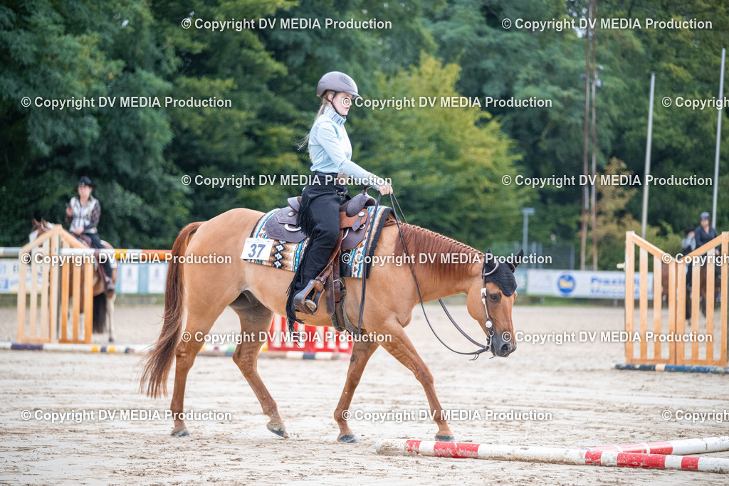 ZS3_4479 | dv-media-shop - Realisiert mit Pictrs.com