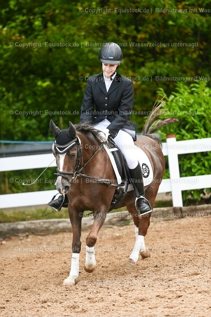 20230716_10-2_Reiter-WB Schritt - Trab - Galopp_0091 | equistock