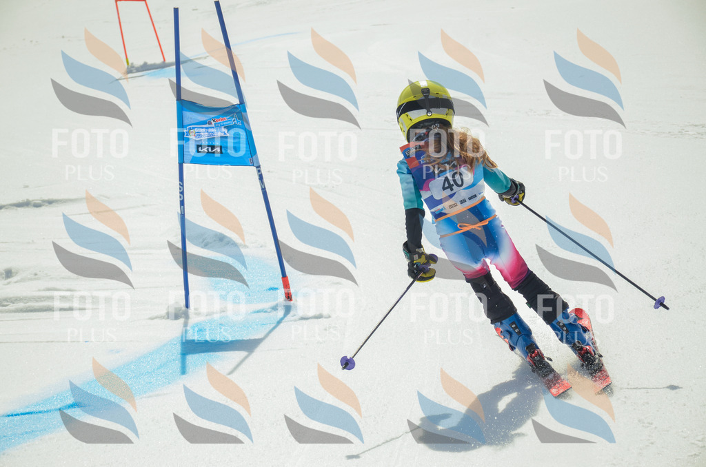 _ELE5031 | holidayphoto