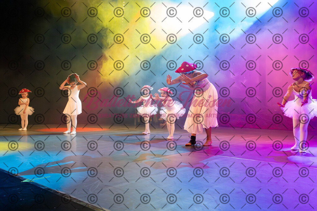 Ballettaufführung-55 | Bildershop Lem'n Entertainment - Realisiert mit Pictrs.com