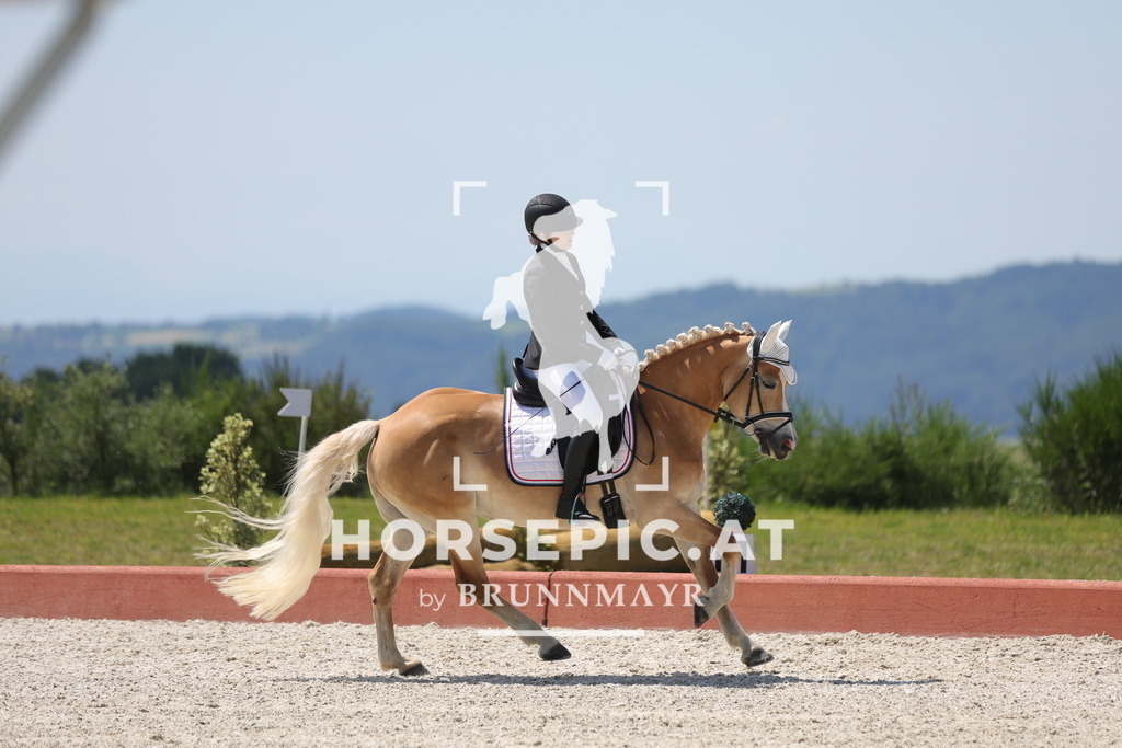 0P6A1263 | Willkommen bei Brunnmayr - Design & Fotografie – Ihrem Spezialisten für Reitturniere und Pferdeveranstaltungen in Oberösterreich, Salzburg und Bayern! Seit über 17 Jahren sind wir leidenschaftlich dabei.