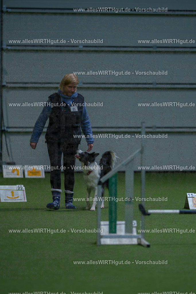 7R501043 | Professionelle Tierfotografie in Mönchengladbach von Daniel Wirth (allesWIRTHgut). Liebevolle & natürliche Bilder von Hunden & Katzen für unvergessliche Erinnerungen.