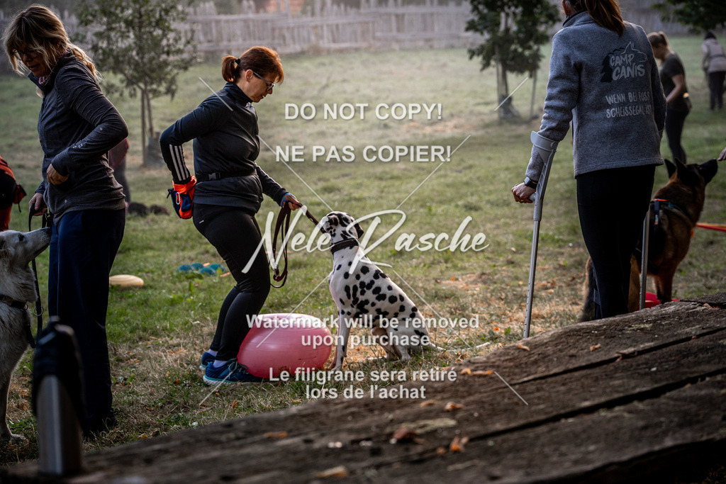 nelerasche_slaw24Sa_11 | nelerasche