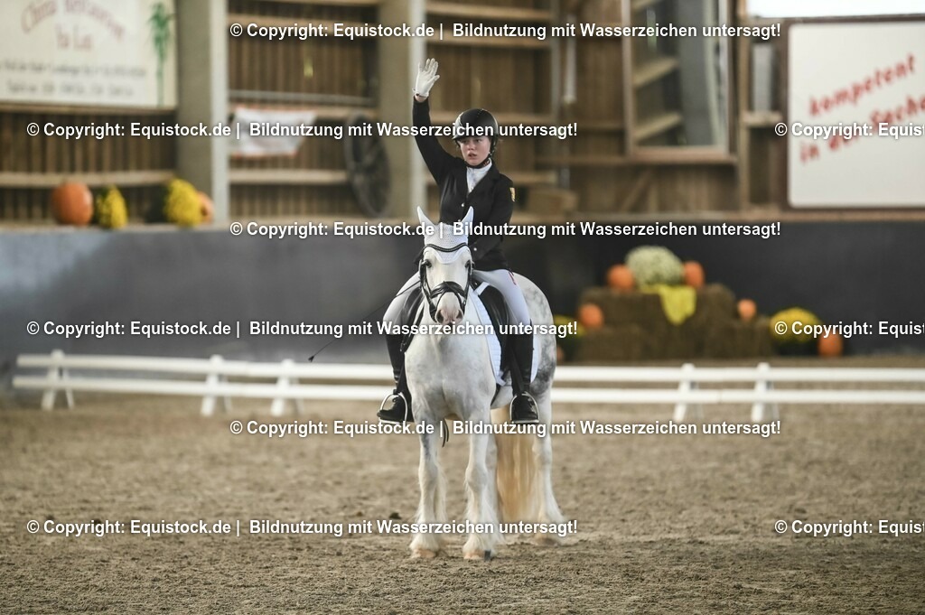 01_Dressur_A_Finale-Volksbank-Championat_0117 | Foto: Thomas Hartig