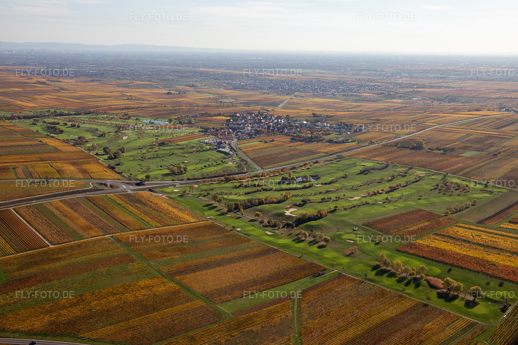 Luftbild: Gelände des Golfplatz Golfgarten Deutsche Weinstraße - Dackenheim - GOLF absolute in Dackenheim im Bundesland Rheinland-Pfalz in Deutschland. Foto: IMG_123639.jpg vom 31.10.2020 durch Werner Riehm/FLY-FOTO.de
