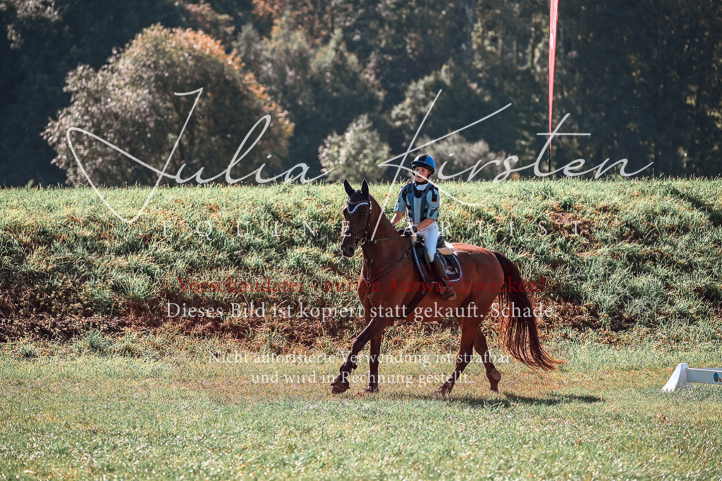 DSC_0809 | Pferde- und Turnierfotografie in Westsachsen. Pferdeportraits, Auftragszeichnungen und intuitive Kunst.