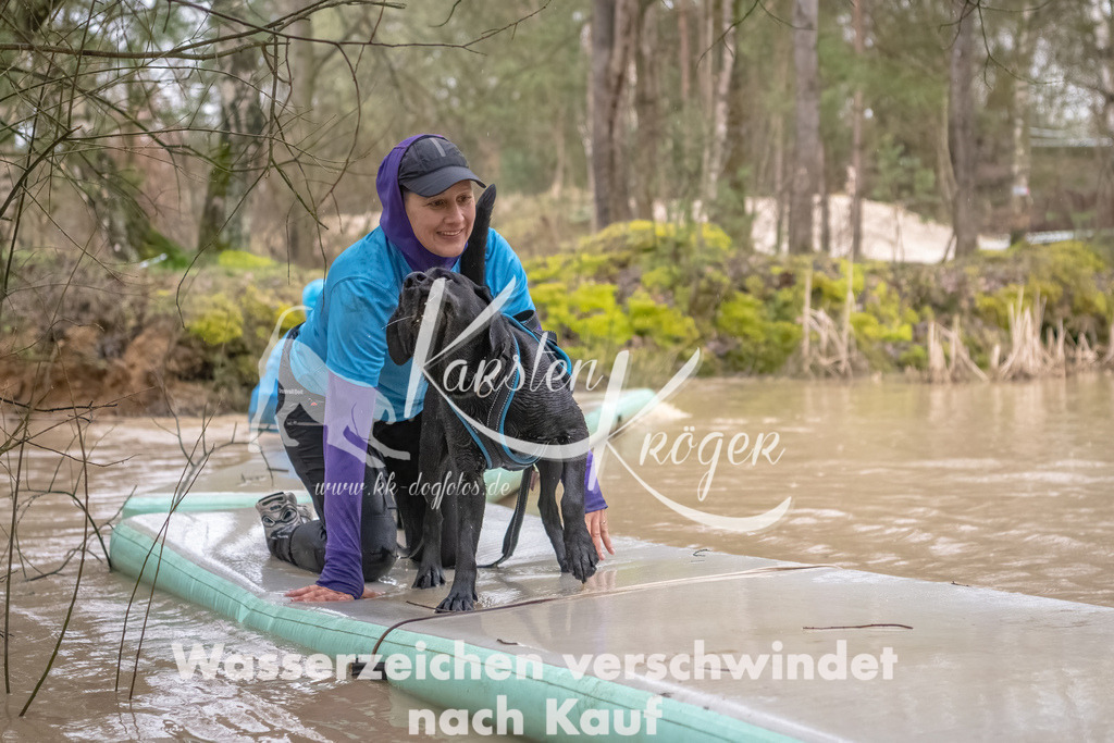 0916_ZZ90392-Bearbeitet | kk-dogfotos