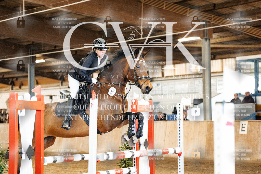 CK904863 | Turnierfotografie Pferdefotografie Trier Rheinland-Pfalz Pferdesport Reitsport Tierfotografie Sportfotografie Pferdevideo Pferdevideografie Equestrianvideography equestrianphotography  - Realized with Pictrs.com