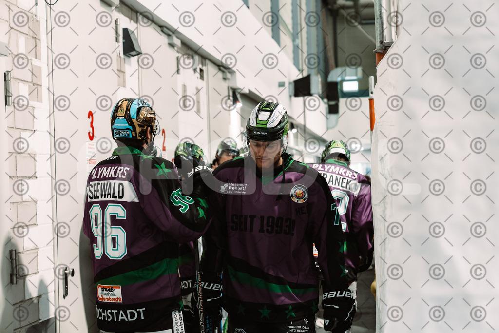 Alligators_vs_Bayreuth_10_2025-05 | Höchstadt Alligators Fotogalerie: Eishockey-Action aus Franken. Professionelle Spielfotos, Portraits & Stadionbilder zum Download. Jetzt entdecken! - Realisiert mit Pictrs.com
