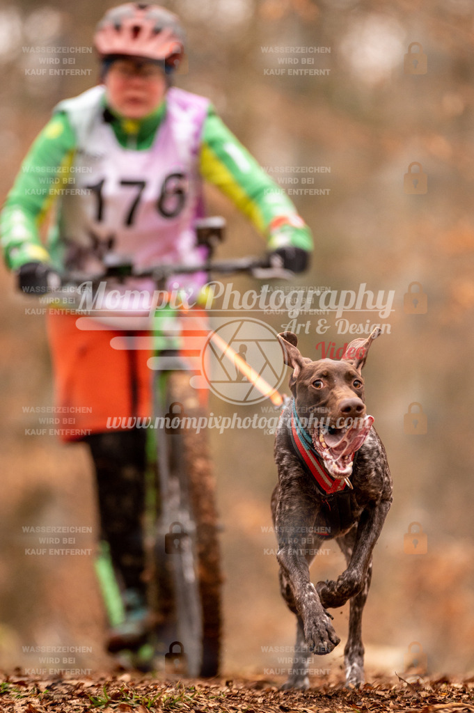 AKM_ST_2023_SAM_Scooter-53 | PayLife