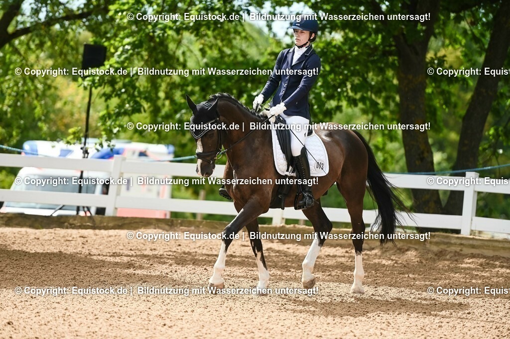 20230715_07_Dressurpferdeprfg. Kl.L_0009 | equistock